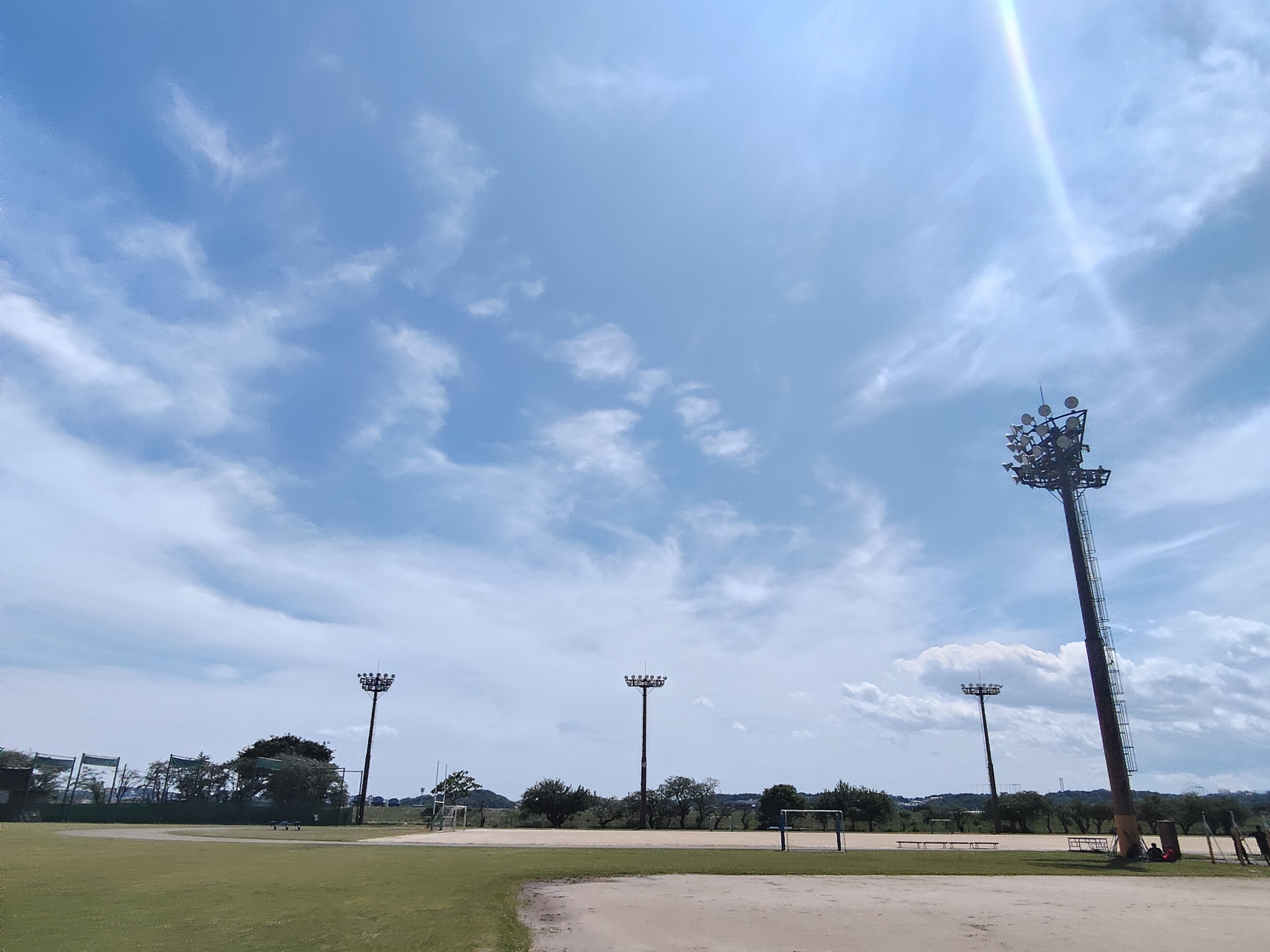 電早ラグビー部の活動風景